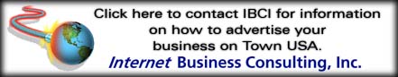 Biz Consulting Inc